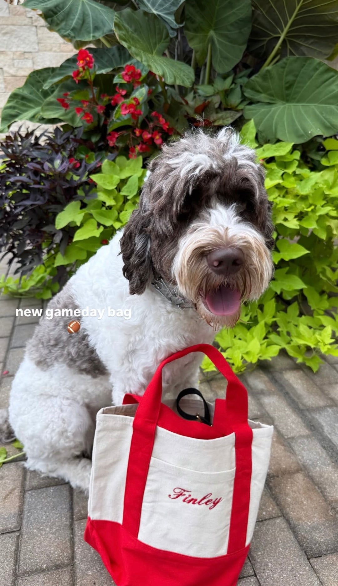 Custom Embroidered Small Tote Bag